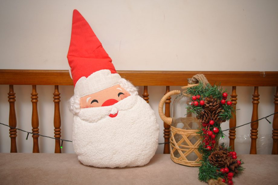 Xmas cushion with cushion covers