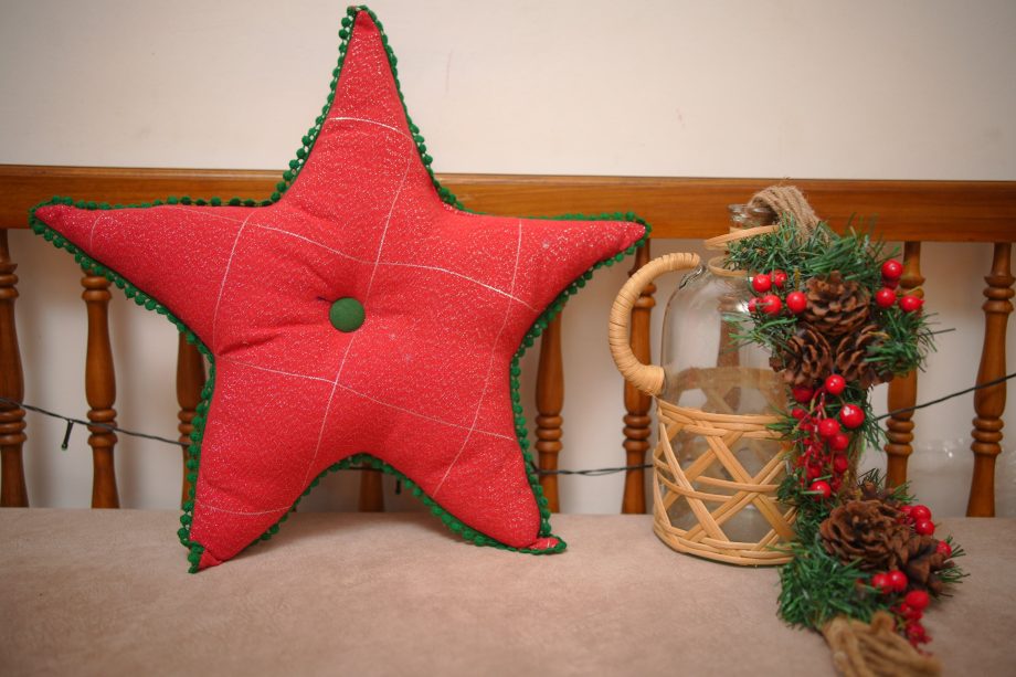 Xmas cushion with cushion covers