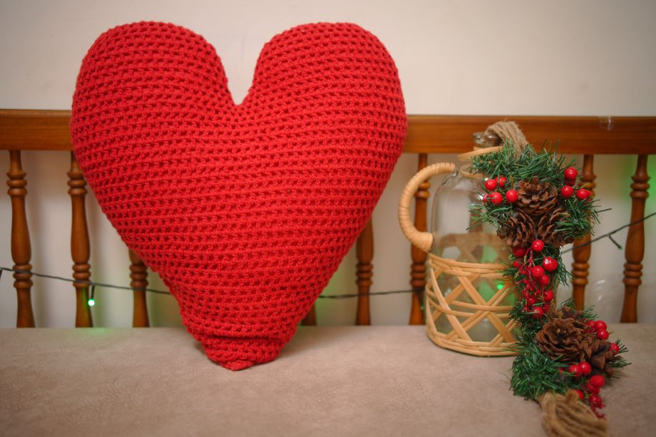 Xmas cushion with cushion covers