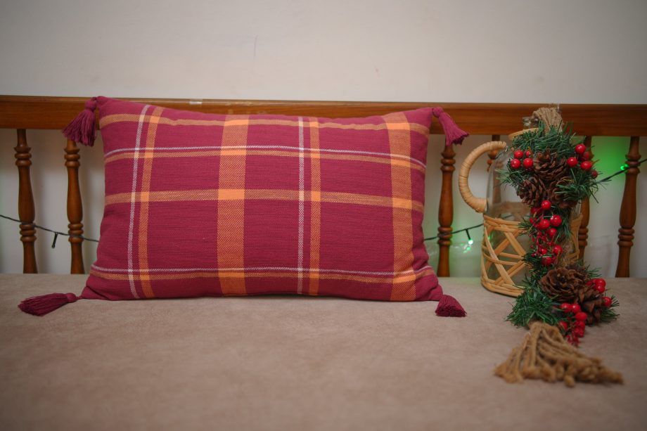 Xmas cushion with cushion covers