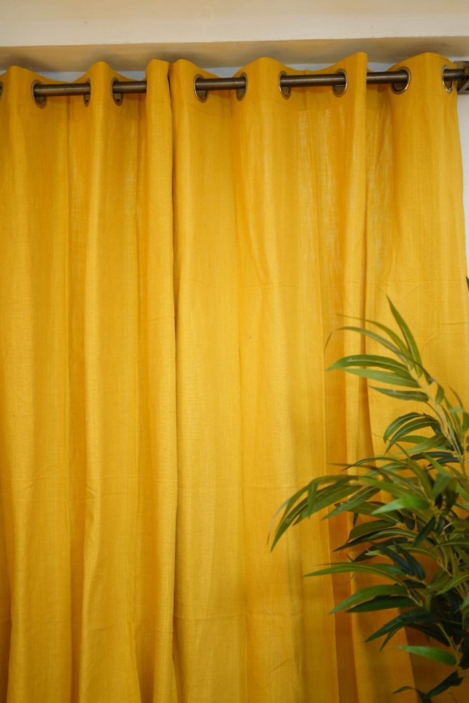 Curtain: Opaque