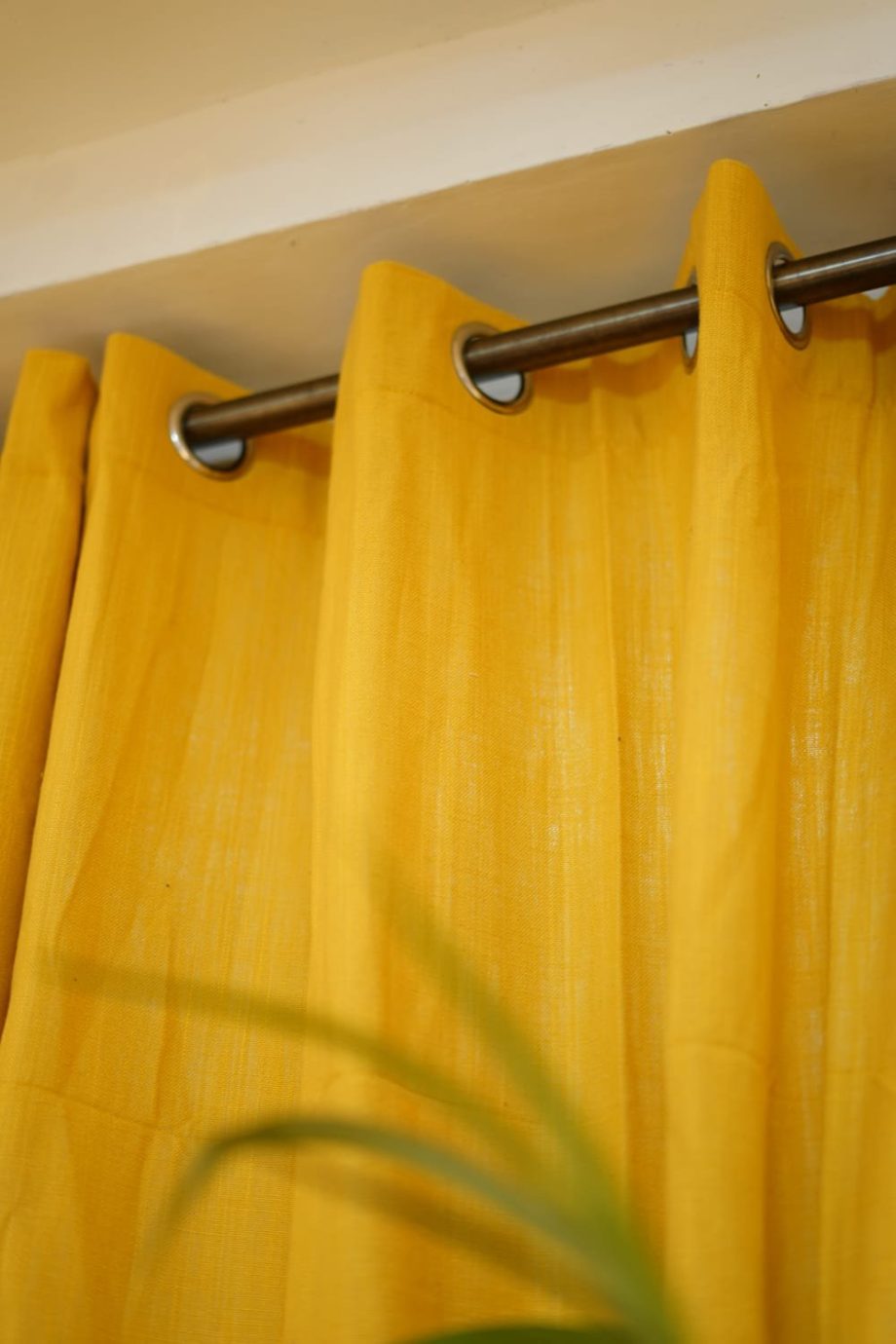 Curtain: Opaque