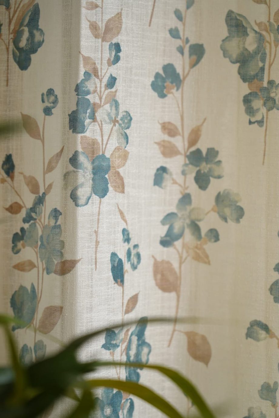 Printed sheer Curtains